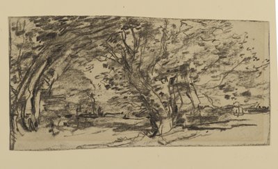 पेड़ों का अध्ययन, 1870 (कागज पर ग्रेफाइट) द्वारा जोसेफ फ्रैंक करियर