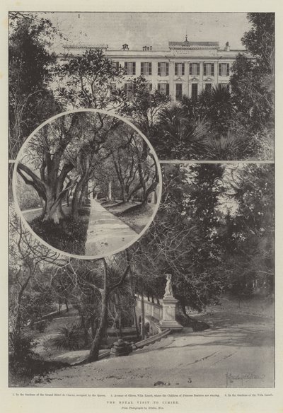 द रॉयल विजिट टू सिमीज़ द्वारा जोसेफ हॉलैंड ट्रिंगहैम