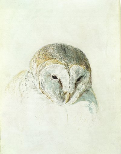द फ़ार्नले बुक ऑफ़ बर्ड्स से व्हाइट बार्न आउल, c.1816 (कागज पर पेंसिल और वॉटरकलर) द्वारा जोसेफ मैलॉर्ड विलियम टर्नर