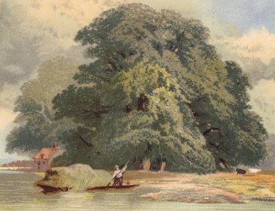  द्वारा जोसेफ़ नीधम