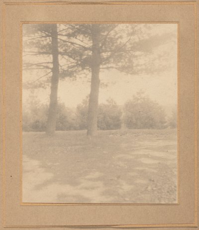 पेड़ों के साथ लैंडस्केप, सी। 1900. द्वारा जोसेफ टर्नर केली