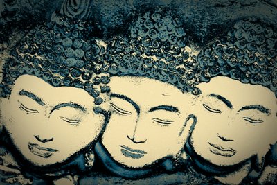  द्वारा जॉय लायंस