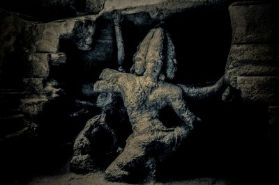  द्वारा जॉय लायंस