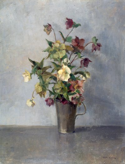  द्वारा जॉयस हेडन