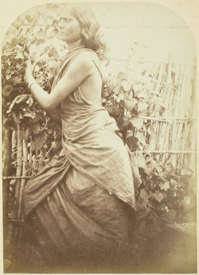 महिला, सीलोन, 187579। द्वारा जूलिया मार्गरेट कैमरून
