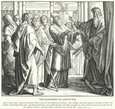 हारून की छड़ का खिलना (उत्कीर्णन) द्वारा जूलियस (बाद में) श्नोरर वॉन कैरोलसफील्ड