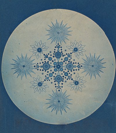 [डायटम्स के फ्रस्ट्यूल्स], सीए। 1870. द्वारा जूलियस विसनर।