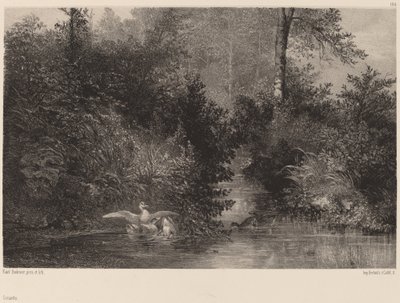 बतख, 18611866। द्वारा कार्ल बॉडर