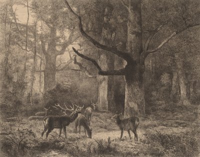 फॉनटेनब्लियू वन। द्वारा कार्ल बॉडर