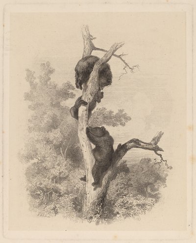 लेस अवर (भालू) द्वारा कार्ल बॉडर