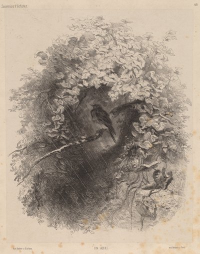 एक आश्रय, 1858। द्वारा कार्ल बॉडर
