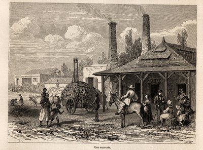 1861 में मॉरीशस में अल्फ्रेड वर्नी के प्रवास को चित्रित करने के लिए कार्ल गिरार्डेट (1813-1871) द्वारा चित्रित, मॉरीशस में रिवेरे डू रेमपार्ट की एक चीनी फैक्ट्री। एडौर्ड चार्टन द्वारा संपादित "" ले टूर डू मोंडे "में उत्कीर्णन द्वारा कार्ल गिरधारी