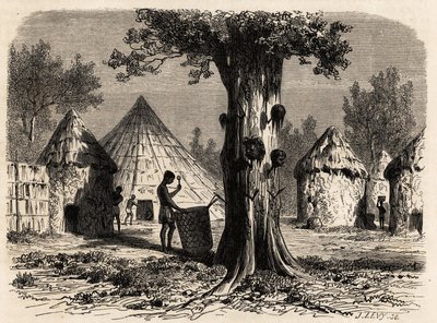 1856-1857 में ए बोलोग्नेसी की गजल नदी की यात्रा का वर्णन करने के लिए कार्ल गिरारडेट (1813-1871) द्वारा चित्रित, सूडान के बह्र-अल-गज़ल क्षेत्र, सूडान के एक गाँव में युद्ध का पेड़। एडौर्ड चार्टन द्वारा संपादित "" ले टूर डू मोंडे "" में उत द्वारा कार्ल गिरधारी