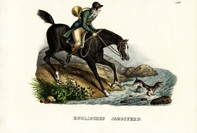 इंग्लिश हंटर हॉर्स, 1824 द्वारा कार्ल जोसेफ ब्रोड्टमैन