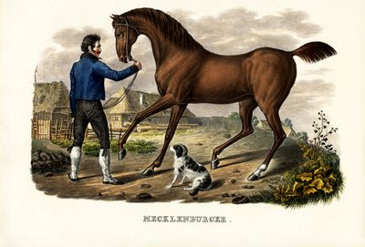 मैक्लेनबर्ग हॉर्स, 1824 द्वारा कार्ल जोसेफ ब्रोड्टमैन