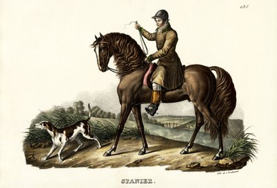 स्पेनिश हंटर हॉर्स, 1824 द्वारा कार्ल जोसेफ ब्रोड्टमैन