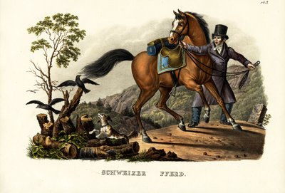 स्विस हॉर्स, 1824 द्वारा कार्ल जोसेफ ब्रोड्टमैन