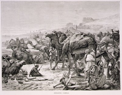 कतरनी ऊंट द्वारा कार्ल विल्हेम जेंट्ज़