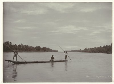  द्वारा कसियन सेफस