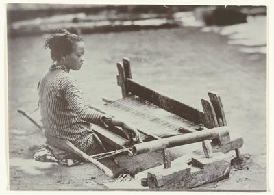  द्वारा कसियन सेफस