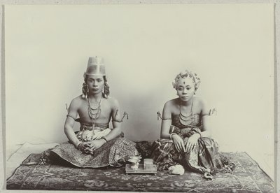  द्वारा कसियन सेफस