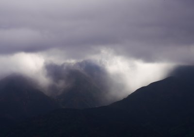  द्वारा कत्था लकड़ी