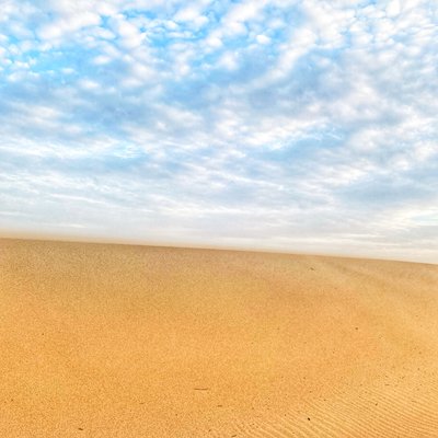  द्वारा कत्था लकड़ी