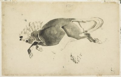 रनिंग हॉर्स, c.1815-1849 (कागज पर स्याही) द्वारा कटुशिका (स्कूल ऑफ होकुसाई)