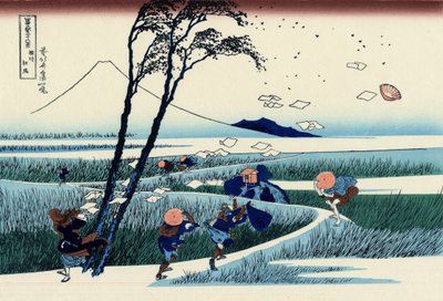 सुरुगा प्रांत में एजिरी, c.1830 (वुडब्लॉक प्रिंट) द्वारा Katsushika Hokusai