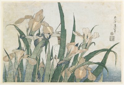 आइरिस फूल और ग्रासहॉपर, c.1830-31 (कलर वुडब्लॉक प्रिंट) द्वारा Katsushika Hokusai