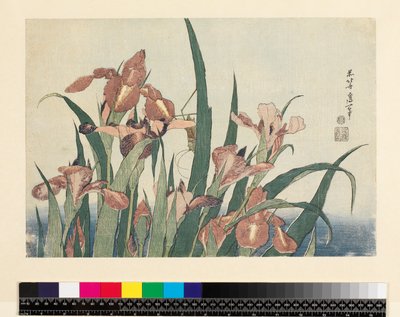 Irises और टिड्डी, पब। Nishimura Eijudo द्वारा, c.1832, (योको-ए - क्षैतिज प्रारूप, रंग वुडब्लॉक प्रिंट) द्वारा कत्सुशिका होकुसाई
