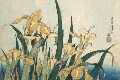 ग्रासहॉपर के साथ उठता है द्वारा Katsushika Hokusai