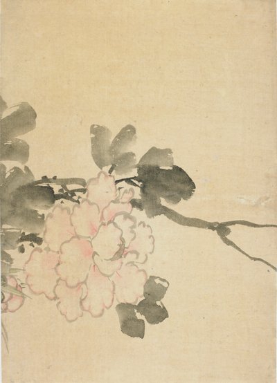Peony, 18 वीं सदी के अंत में 19 वीं सदी की शुरुआत में। द्वारा कत्सुशिका होकुसाई