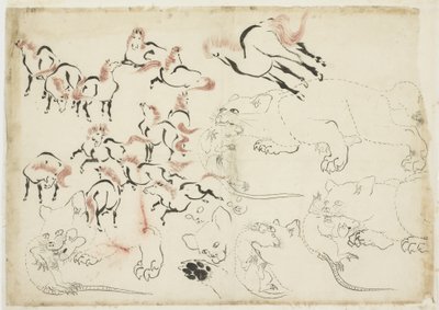घोड़े, बिल्लियों और चूहों का अध्ययन ("होकुसाई मंगा" से), c.1815-1849 (कागज पर स्याही और रंग) द्वारा कत्सुशिका होकुसाई