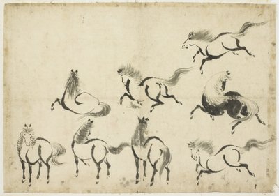 घोड़े का अध्ययन, c.1815-1849 (कागज पर स्याही) द्वारा Katsushika Hokusai