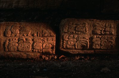  द्वारा केनेथ गैरेट