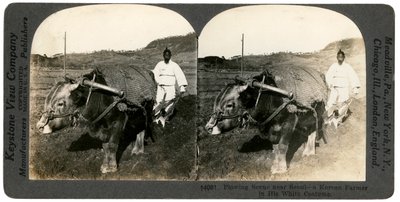 सियोल के पास खेती, दक्षिण कोरिया, 1900s। द्वारा कीस्टोन व्यू कंपनी