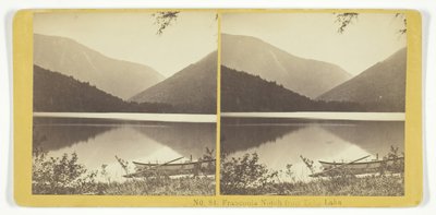 इको लेक से फ्रेंकोनिया नॉच, 185575। निर्माता: किलबर्न ब्रदर्स, बीडब्ल्यू किलबर्न। द्वारा किलबर्न ब्रदर्स, बीडब्ल्यू किलबर्न