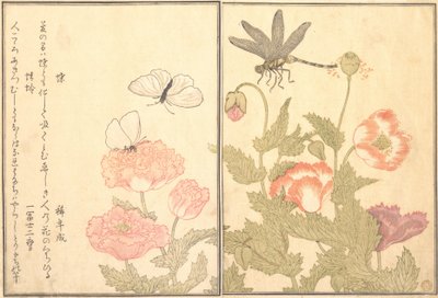 बटरफ्लाई चो, ड्रैगनफ्लाई कागेरो या टोनबो, 1788। द्वारा किटगावा उतामारो