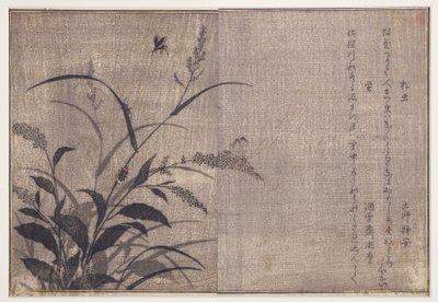 क्रिकेट और फायरफ्लाइज़, 1788 (वुडब्लॉक) द्वारा किटगावा उतामारो