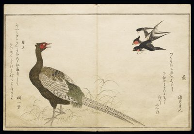 P.332-1946 Vol.1 f.6 चिमनी स्वैलोज़ की जोड़ी और एक हरा तीतर, एक एल्बम &39;बर्ड्स इन ह्यूमरस सॉन्ग&39;, 1791 (कलर वुडब्लॉक प्रिंट) से द्वारा किटगावा उतामारो