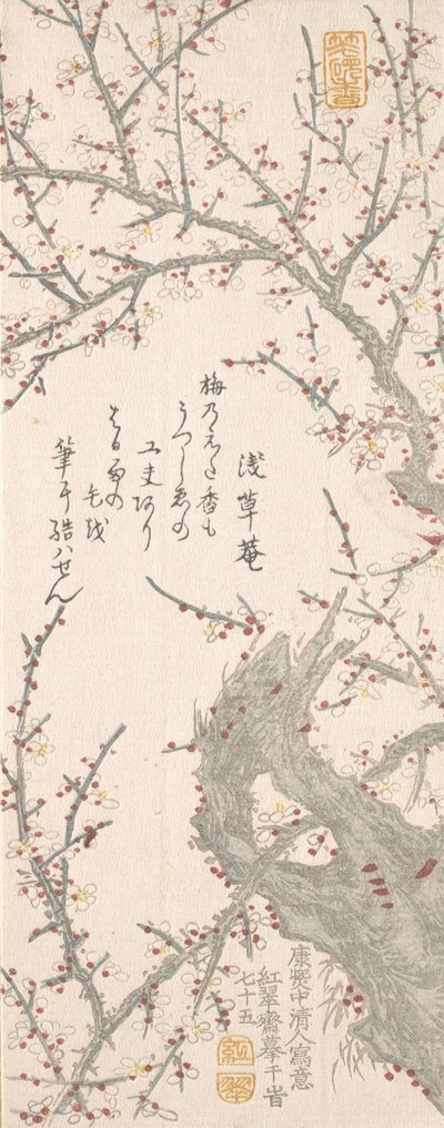 1813 में ब्लॉसम में बेर का पेड़। द्वारा Kitao Shigemasa