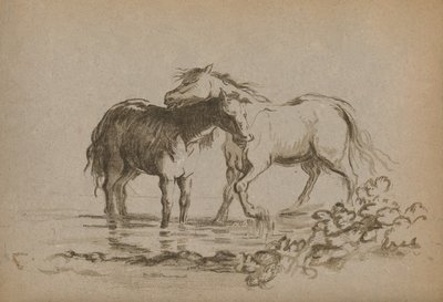 'घोड़े', 1903 द्वारा लेडी डायना स्पेंसर