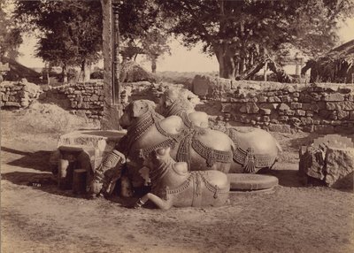  द्वारा लाला दीन दयाल
