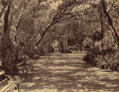 Sookh-Vilas Palace Garden, 1880-90.  द्वारा लाला दीन दयाल