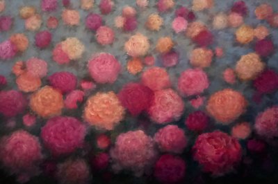  द्वारा ली कैम्पबेल