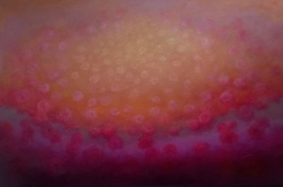  द्वारा ली कैम्पबेल