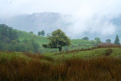  द्वारा 