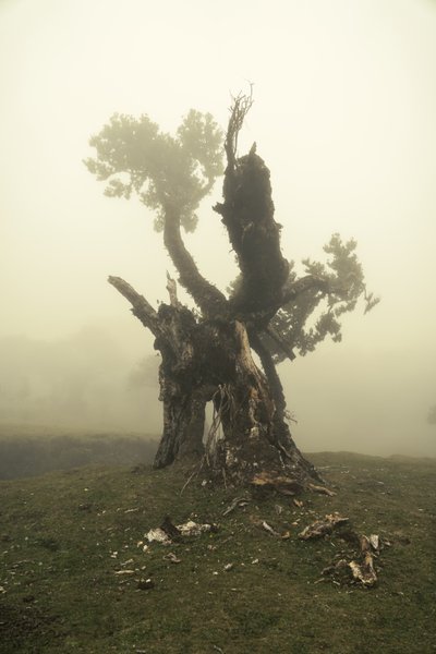  द्वारा 