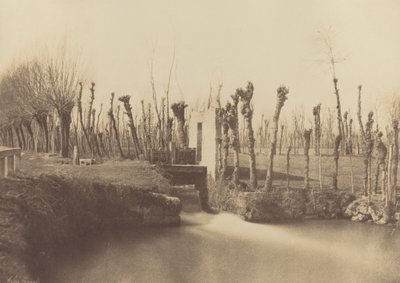  द्वारा लियोन गेरार्डो